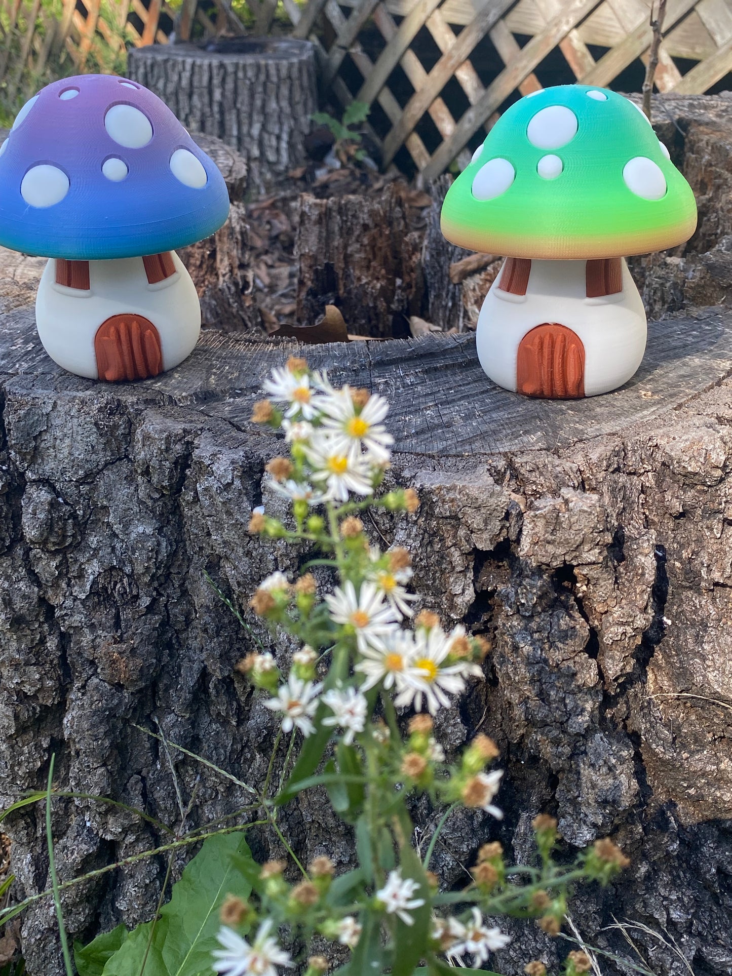 3D Rainbow Mushroom Houses