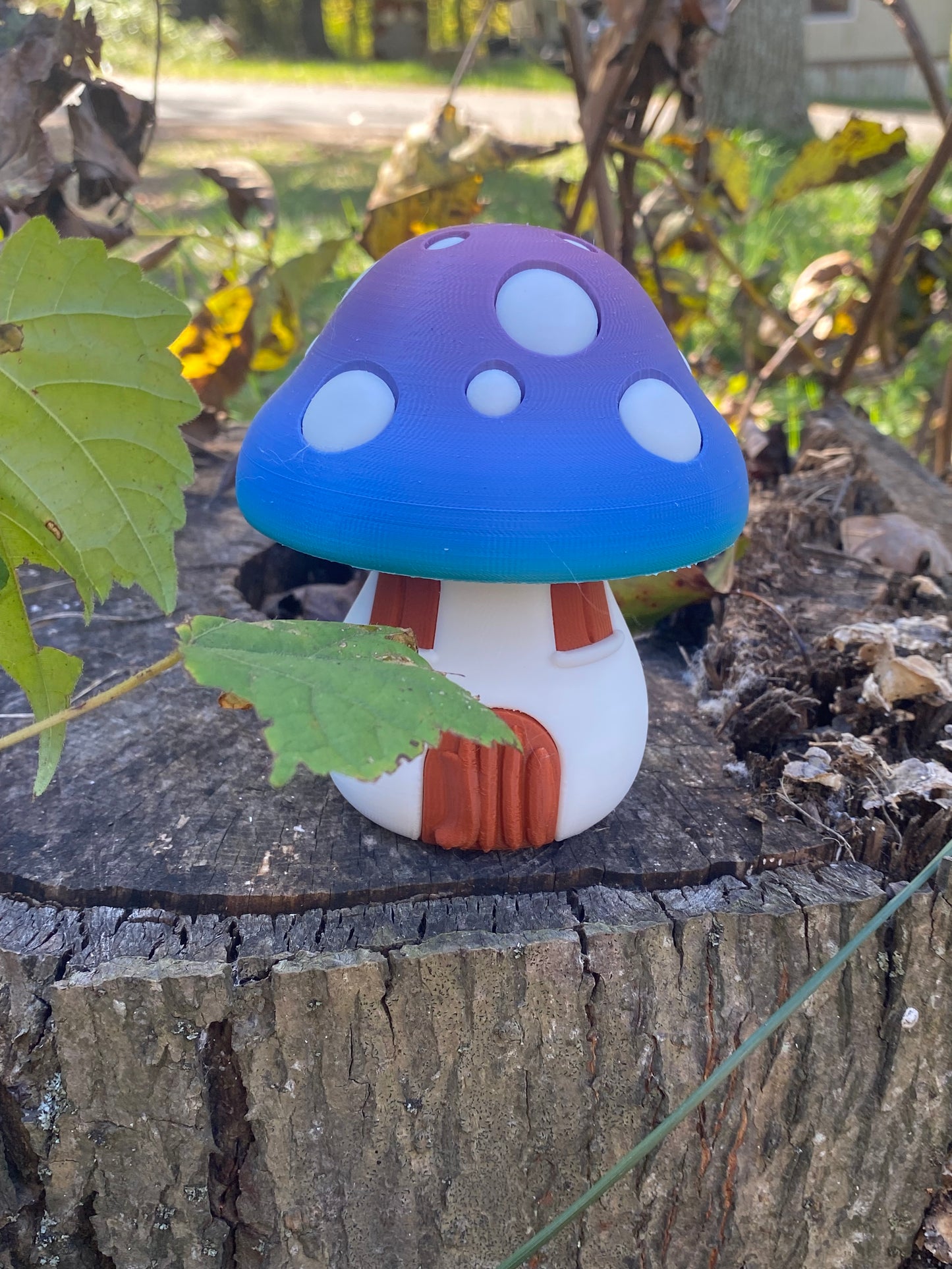 3D Rainbow Mushroom Houses