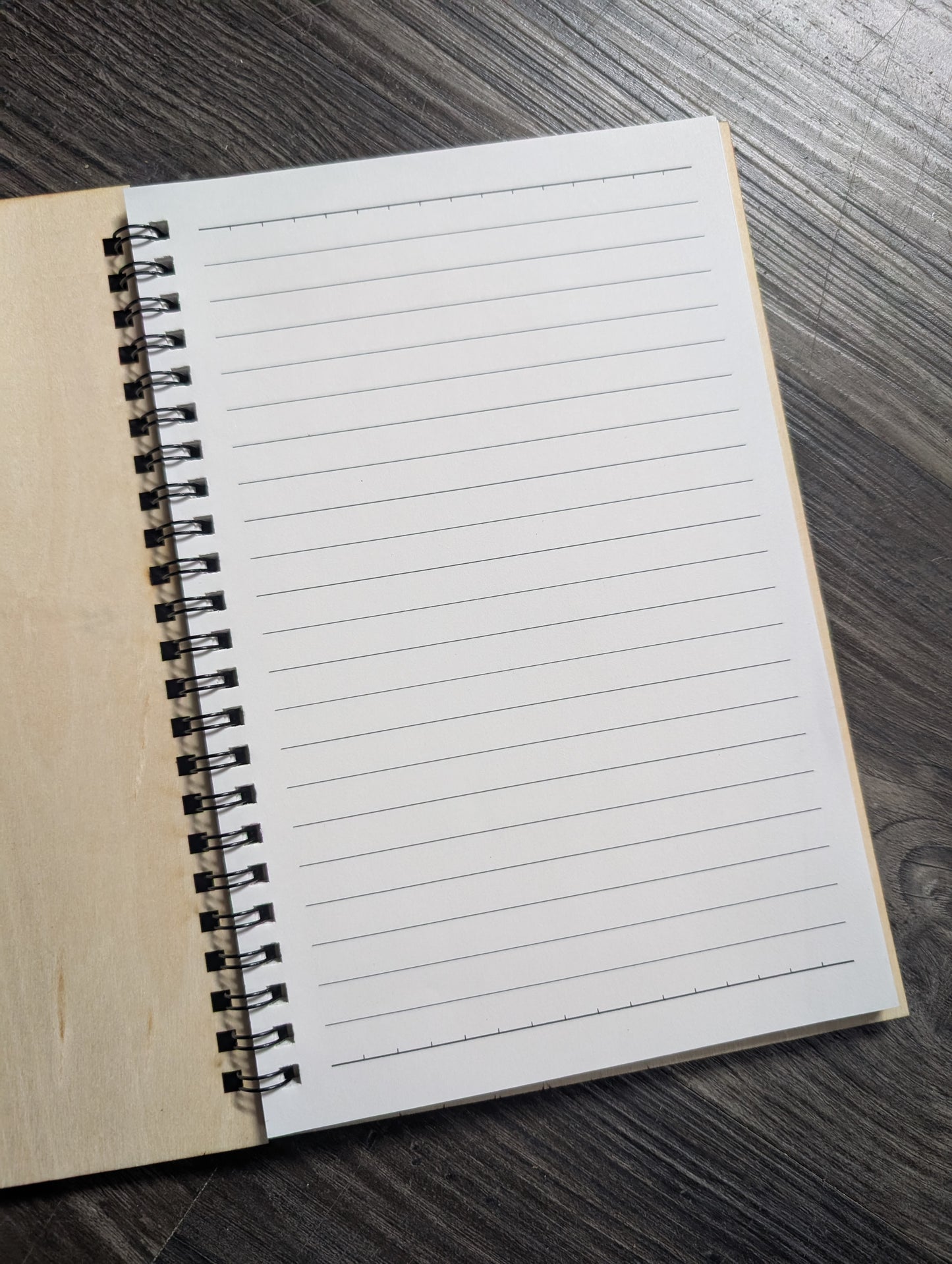 Modern Problems, Victorian Solutions Notebook